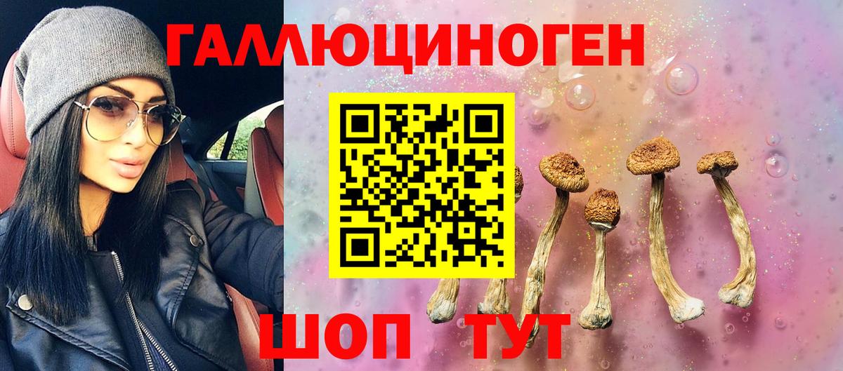 Галлюциногенные грибы GOLDEN TEACHER Прокопьевск